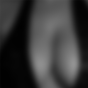 rencontre-Cougar-Hérouville-Saint-Clair