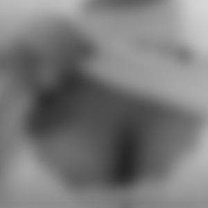 rencontre-Cougar-Montpellier