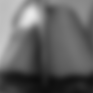 rencontre-Cougar-Nantes