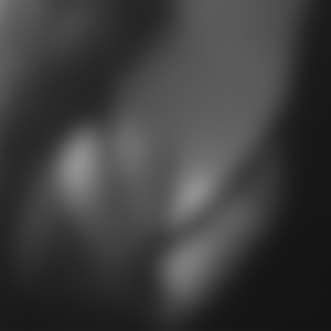 rencontre-Cougar-Nice