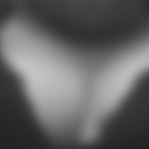 rencontre-Cougar-Paris