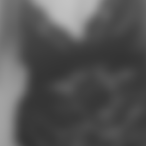 rencontre-Cougar-Strasbourg