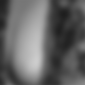 rencontre-Cougar-Colmar